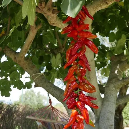 Al Bosco Delle Api