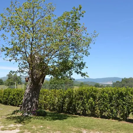 Al Bosco Delle Api 3* Gallicchio