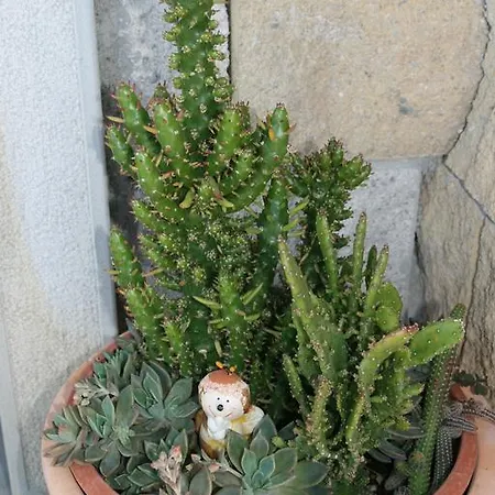 Al Bosco Delle Api Affittacamere 3*