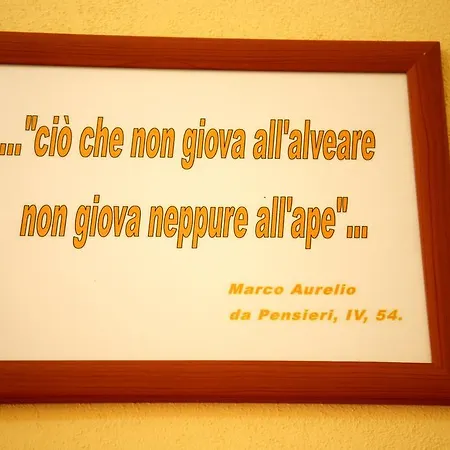 Al Bosco Delle Api