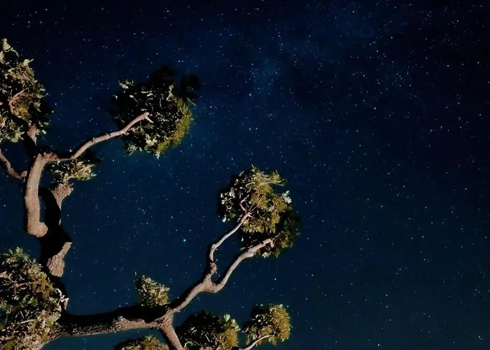 Al Bosco Delle Api Gallicchio