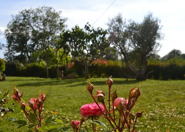 招待所 Al Bosco Delle Api